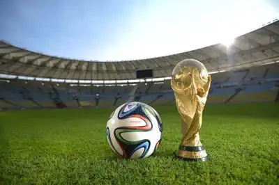Greenpeace says tests show PFOA in World Cup merchandise