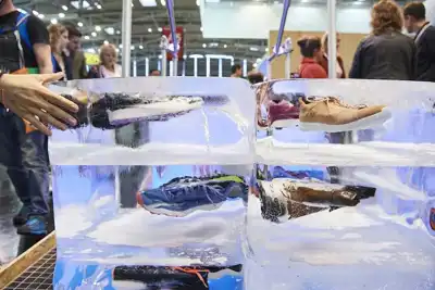 500-plus exhibitors gear up for IPSO online