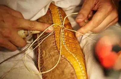 LVMH’s new roots highlight sustainable luxury focus