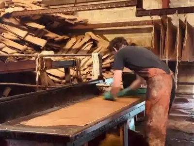 Oak bark tanner celebrates individuality of hides