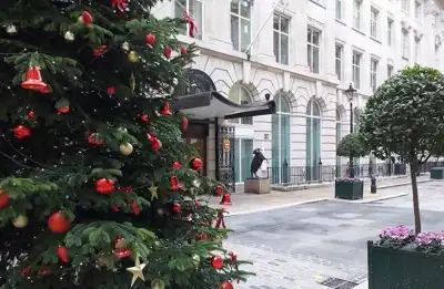 Happy Christmas, healthy and prosperous New Year