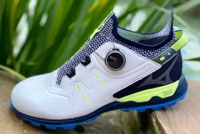 Record year for Mizuno