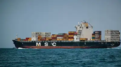 FDRA appeals for removal of duties from China