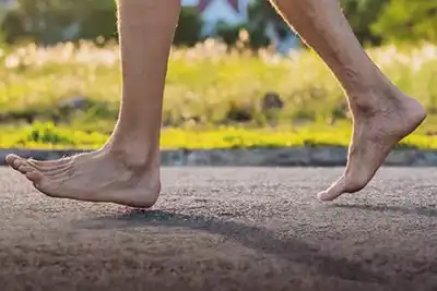 The remarkable foot