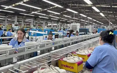 Brazilian footwear jobs under threat as US trade talks collapse