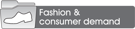 Fashion & Consumer Demand                                                                           